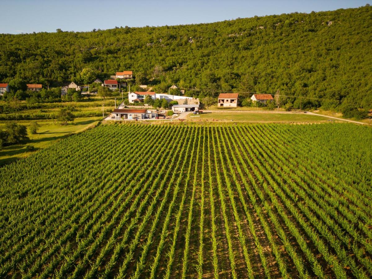 Krolo Villa&Wine Триль Экстерьер фото